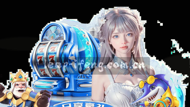 全方位技术支持服务